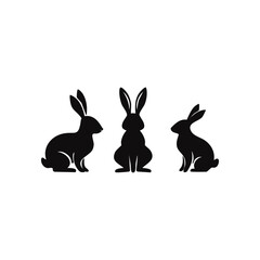 rabbit, bunny vector illustration, pet animal