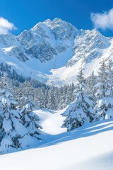 Snowy mountain valley under a bright sky