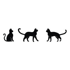 cat animal silhouette, black pet