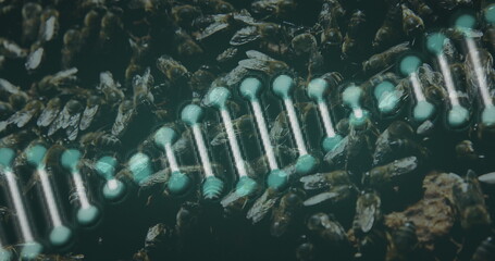 Image of 3d green dna strand spinning over bees
