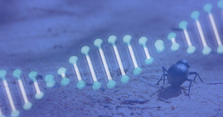 Image of 3d blue dna strand spinning over insect