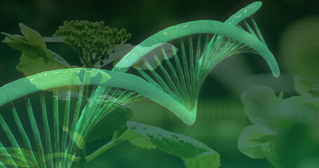 Image of 3d green dna strand spinning over plants