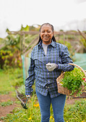 Fototapeta premium Happy senior african woman holding basket with fresh organic vegetables with house garden in background - Harvest, elderly person and healthy lifestyle concept