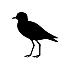 Plover bird silhouette vector flat illustration design.