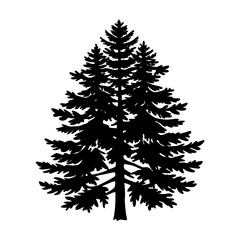 Pine tree silhouette vector illustration
