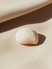 Close-up of a single seashell on a beige background. the seashell is white with thin, striped lines running horizontally across its surface.