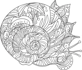 Snail coloring book for adults vector