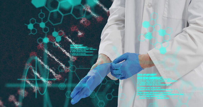 Image of dna strand and medical data processing over male doctor putting gloves on