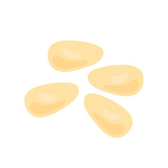 Pine nuts illustration 