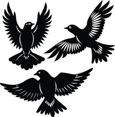 set of birds
