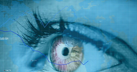 Image of financial data processing with world map over woman's eye