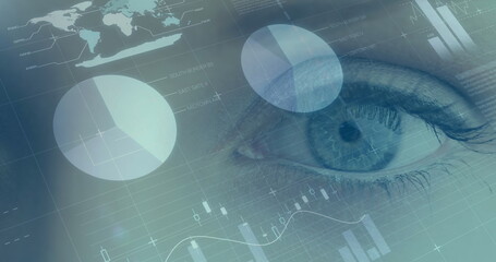 Image of financial data processing with statistics over woman's eye