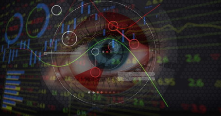 Image of financial data processing and scope scanning over woman's eye