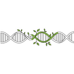 DNA Strand with Organic Growth: A visual depiction of a DNA double helix intertwined with a vibrant green plant, symbolizing the intricate relationship between life, biology, and nature.