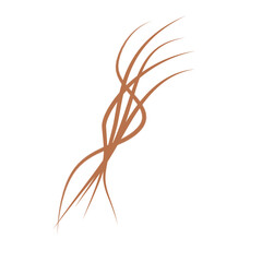 Illustration of brown hair