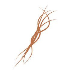 Illustration of brown hair