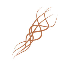 Illustration of brown hair