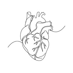 Anatomical Heart: A minimalist, artistic depiction of the human heart, drawn with a single continuous line, evoking themes of health, life, and the intricate beauty of human anatomy.