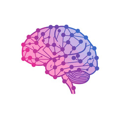 Brain Networks: A conceptual and intricate representation of the human brain, illustrated with interconnected nodes, showcasing the complex network of thoughts and cognition.