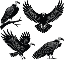 Vulture Silhouette Set for Nature and Wildlife Projects