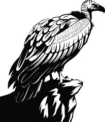 Vulture Silhouette Set for Nature and Wildlife Projects
