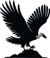 Vulture Silhouette Set for Nature and Wildlife Projects