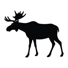 deer vector illustration