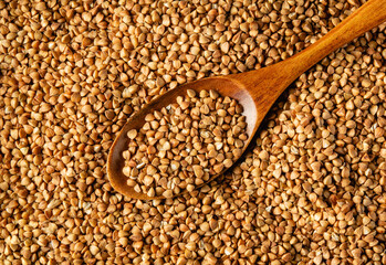 A wooden spoon filled with buckwheat grains rests on a surface covered with loose buckwheat seeds. The rich, earthy colors showcase the texture and natural elements of the grains