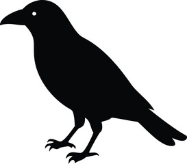 Crow bird silhouette with white background