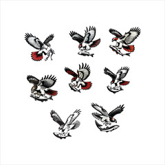 Red-tailed Hawk Capturing Prey &ndash; Action Silhouette of Raptor Striking