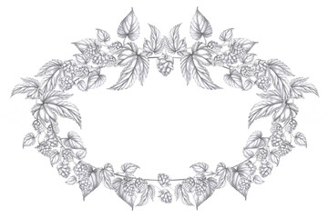Oval wreath with hop branches. Isolated pencil illustration on the theme of beer in a realistic style for the design of beer products, interior and menu of bars and restaurants