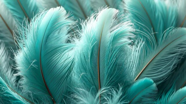 Detailed view of a breathtaking bird feather pattern texture backdrop highlighting exquisite trends. Macro videography angle.