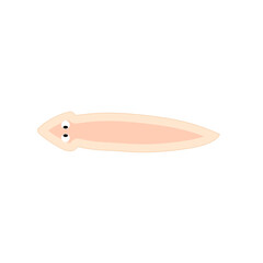 Planarian flatworms illustration
