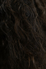 Naklejka premium Hair texture before the established procedure. Ungroomed hair before cold recovery