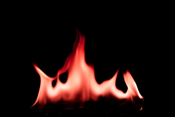 Vibrant Flames Dancing Against a Black Background in High Contrast