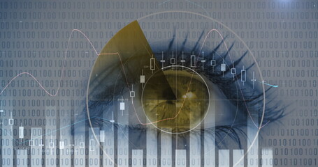 Image of statistics and scope scanning with binary coding over woman's eye in background