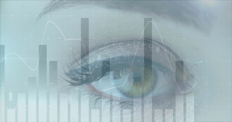 Image of statistics and data processing over woman's eye in background