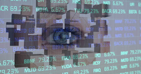 Image of financial data processing and wooden blocks over woman's eye in background