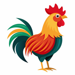 rooster isolated on white background