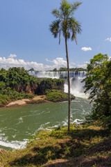 Panoramic view of the Iguazu Falls in Misiones, Argentina.