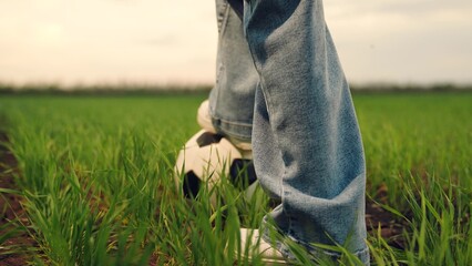 child kid baby girl run across green lawn sunset, kicking soccer ball, playing football field, childhood dream happy kid, soccer enthusiasm amateur, amateur soccer player, athletic field play, soccer
