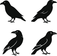 Obraz premium Black raven silhouette vector Set. crow bird clipart