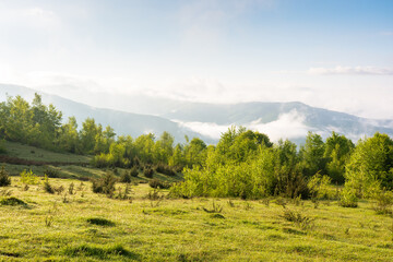 scenic view of nature in fog and clouds. sunny morning. deciduous forest on the hills in spring. rural valley in the distance. carpathian alpine climate