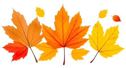 set of autumn leaves