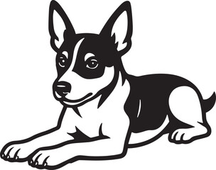 laying rat terrier dog