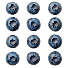 Twelve Blueberries Arranged on Black Background