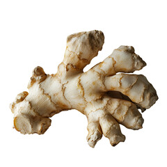 Fresh Ginger Root Closeup Isolated Black Background