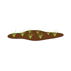 Organic paddy rice. Vector illustration.