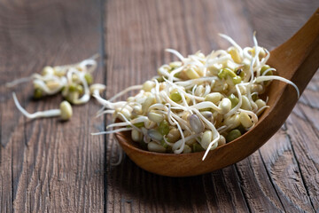 Sprouted mung beans, super food, large amount of microelements and vitamins. Asian component of...