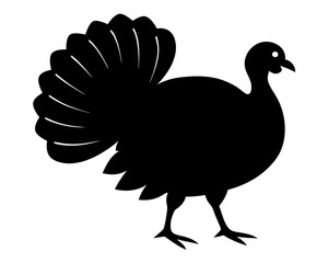 Turkey Silhouette Vector